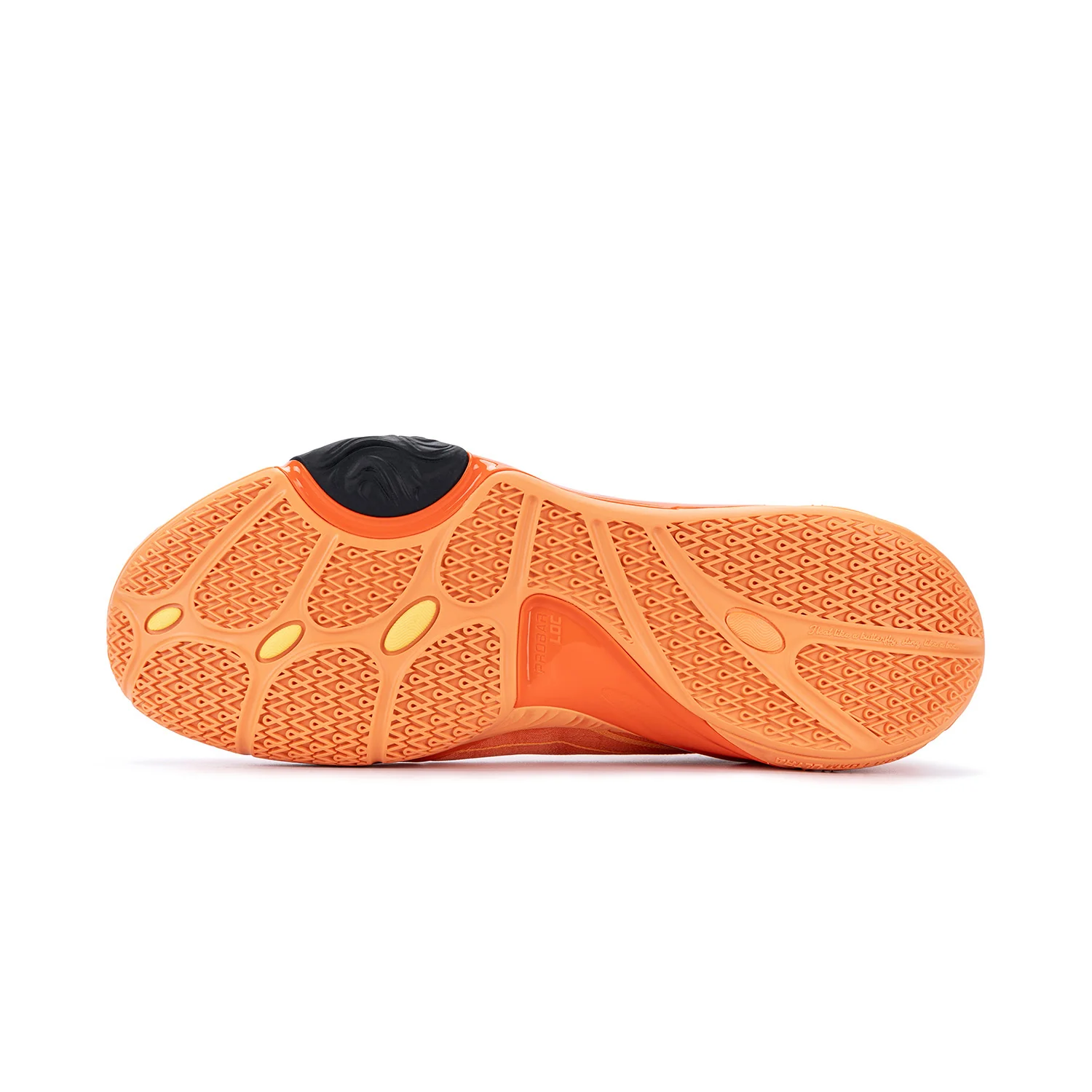 Dlo 1 "Pumpkin" - Image 3